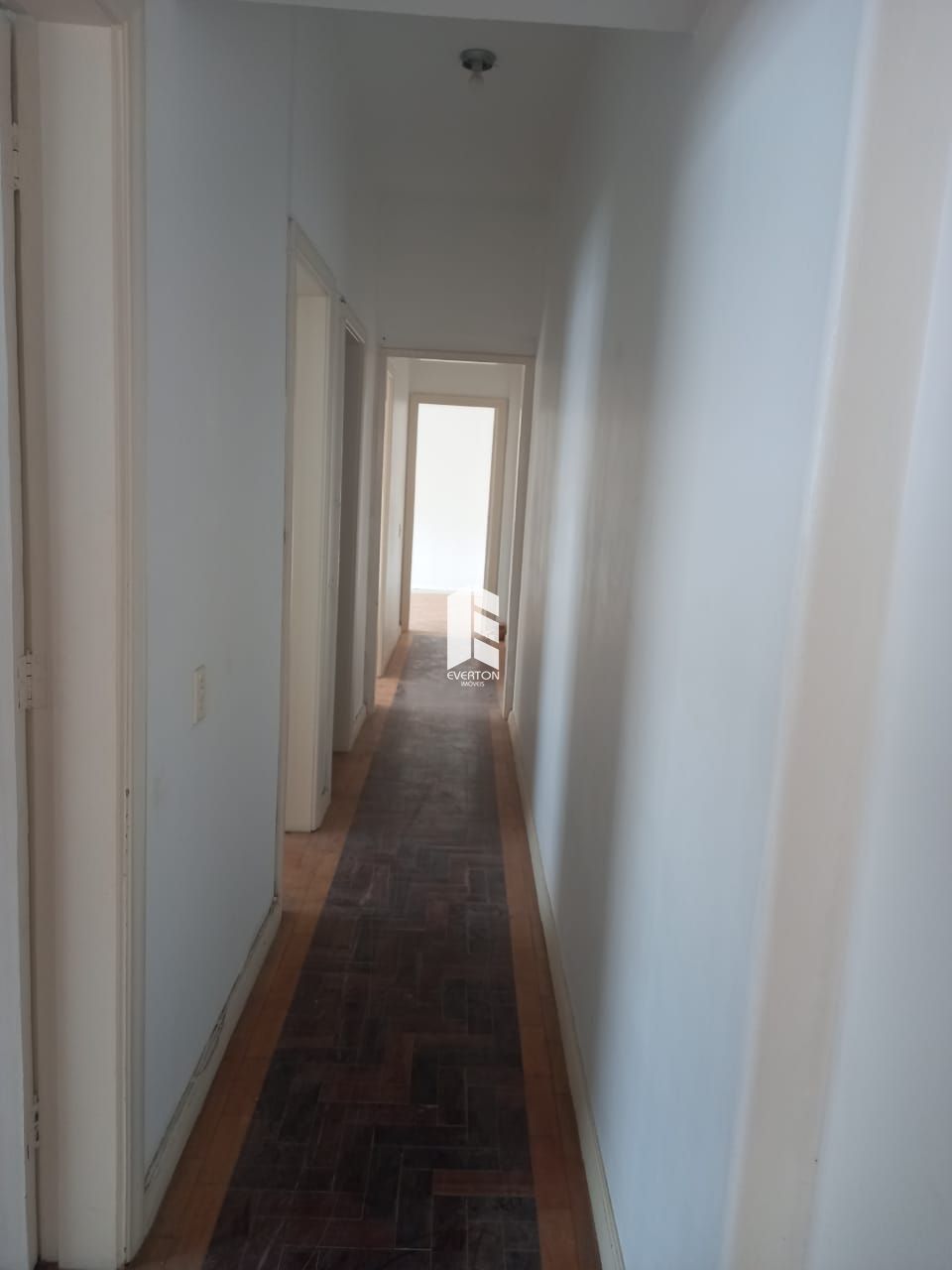 img10255955