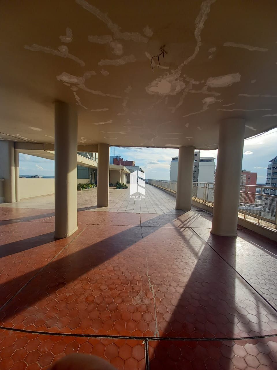 img10255953