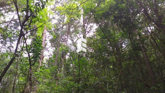 Chácara de 28000m² no bairro Campestre do Menino Deus, em Santa Maria | Eu Corretor