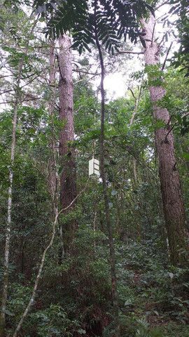 Chácara de 28000m² no bairro Campestre do Menino Deus, em Santa Maria | Eu Corretor