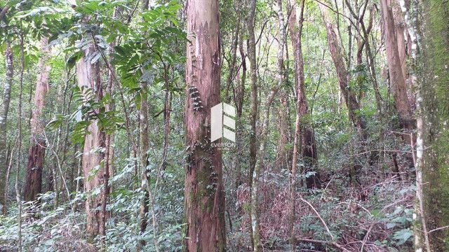 Chácara de 28000m² no bairro Campestre do Menino Deus, em Santa Maria | Eu Corretor