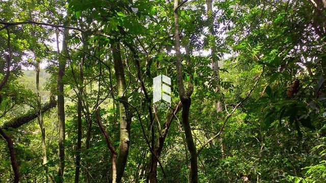 Chácara de 28000m² no bairro Campestre do Menino Deus, em Santa Maria | Eu Corretor