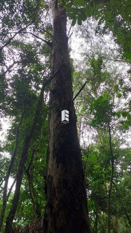 Chácara de 28000m² no bairro Campestre do Menino Deus, em Santa Maria | Eu Corretor