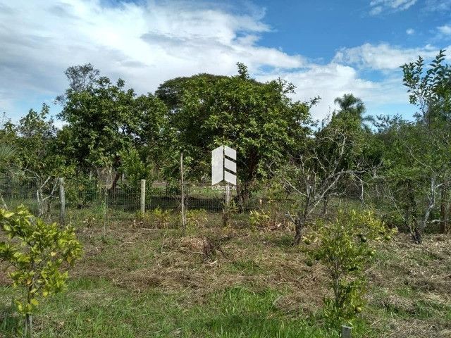 img10722190