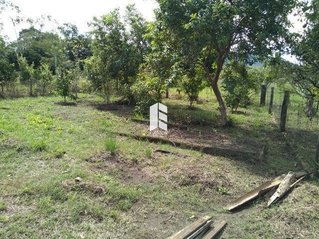 img10722198