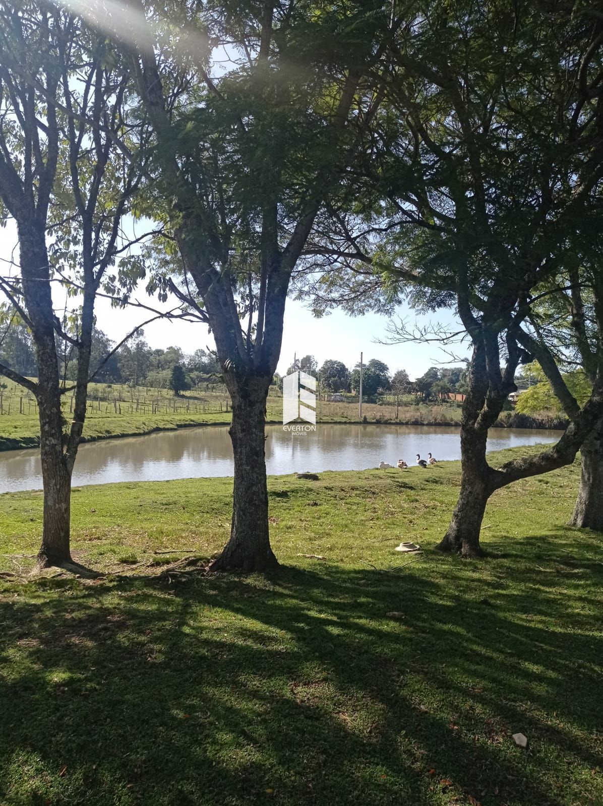 img33937086