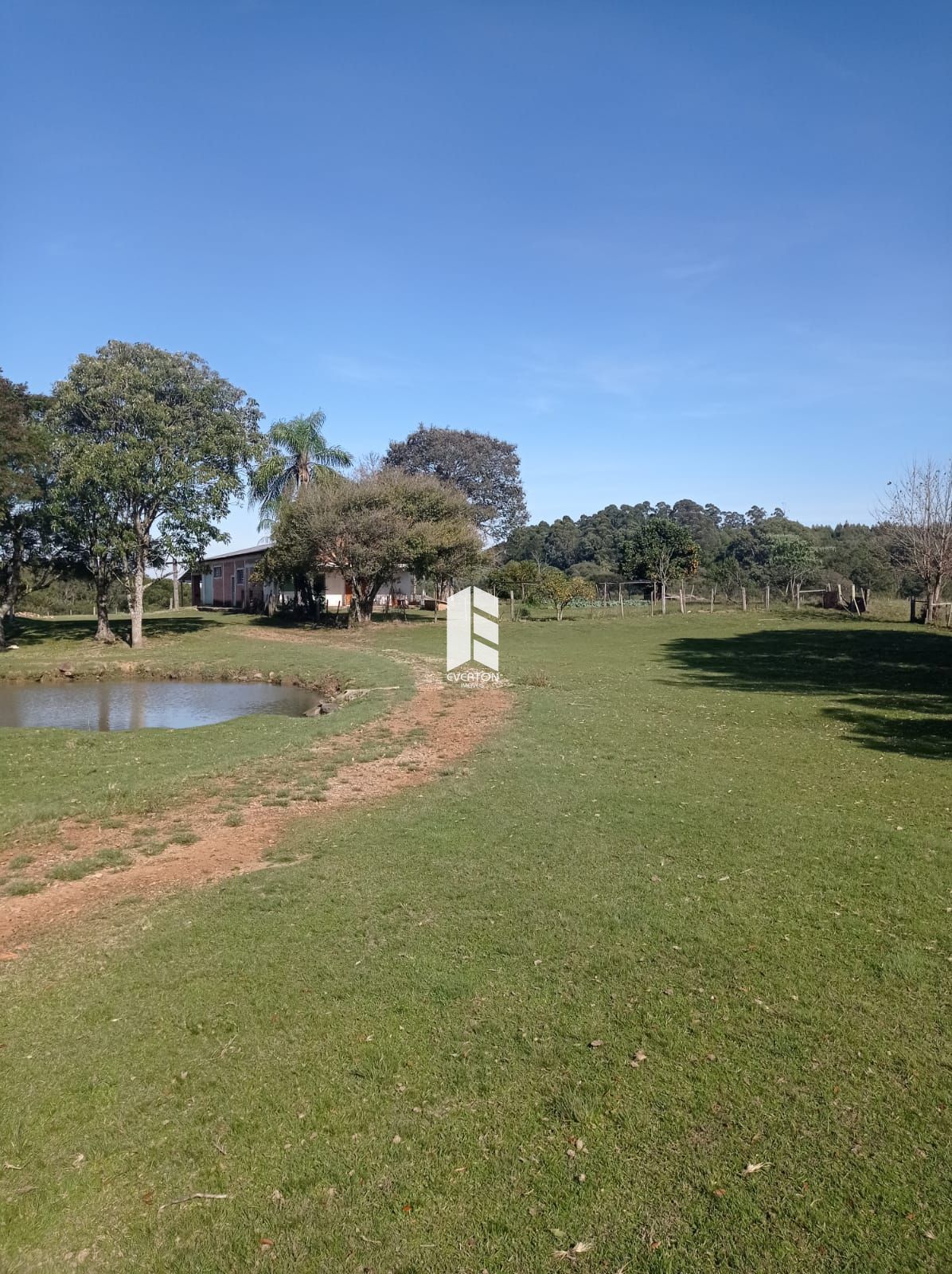 img33937084