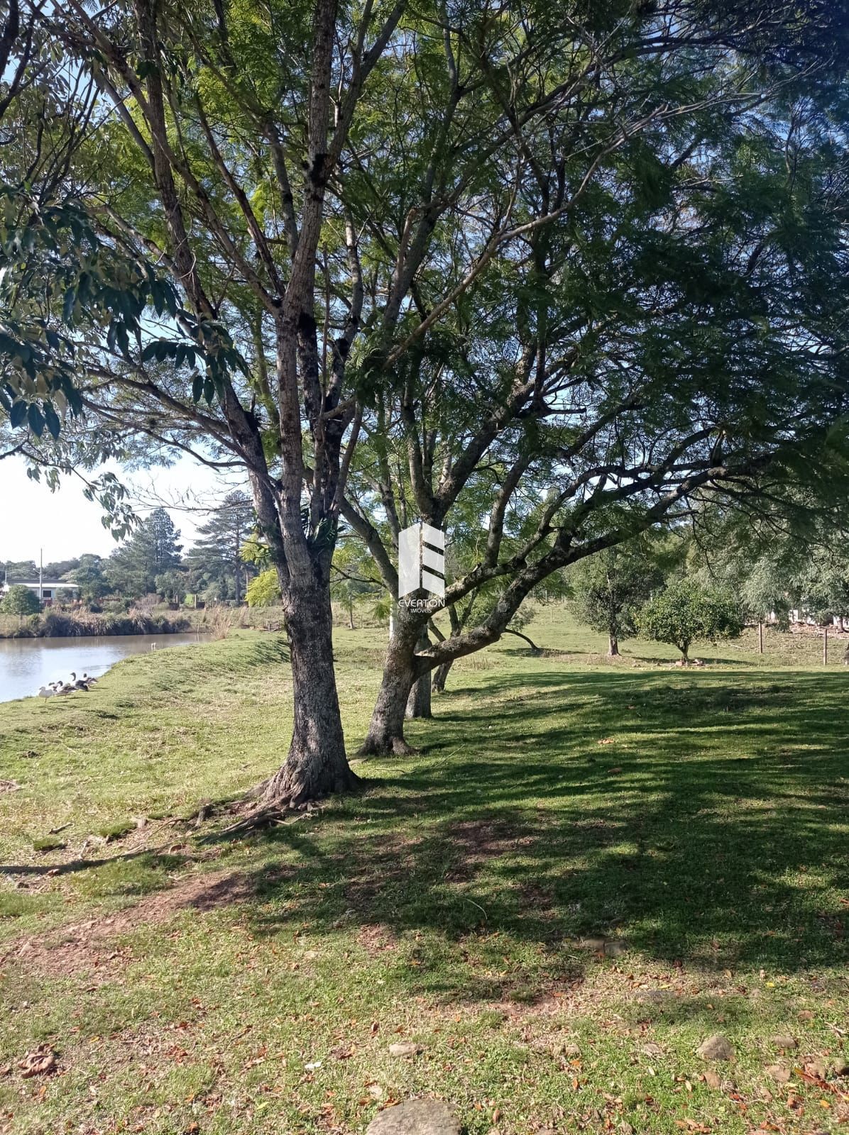 img33937085