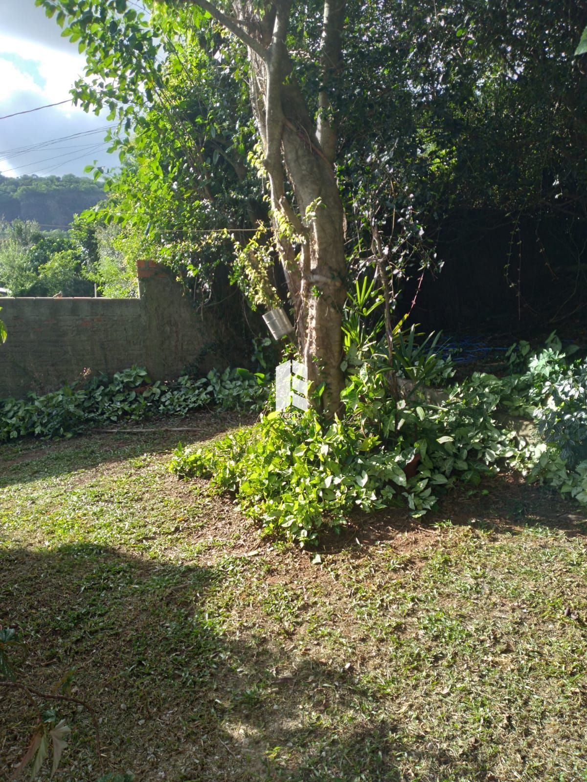 img28049312