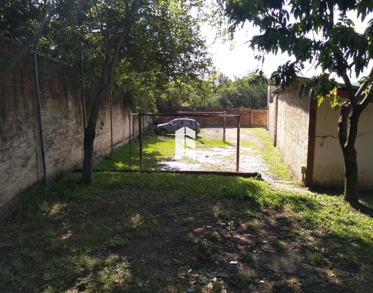 img12697379