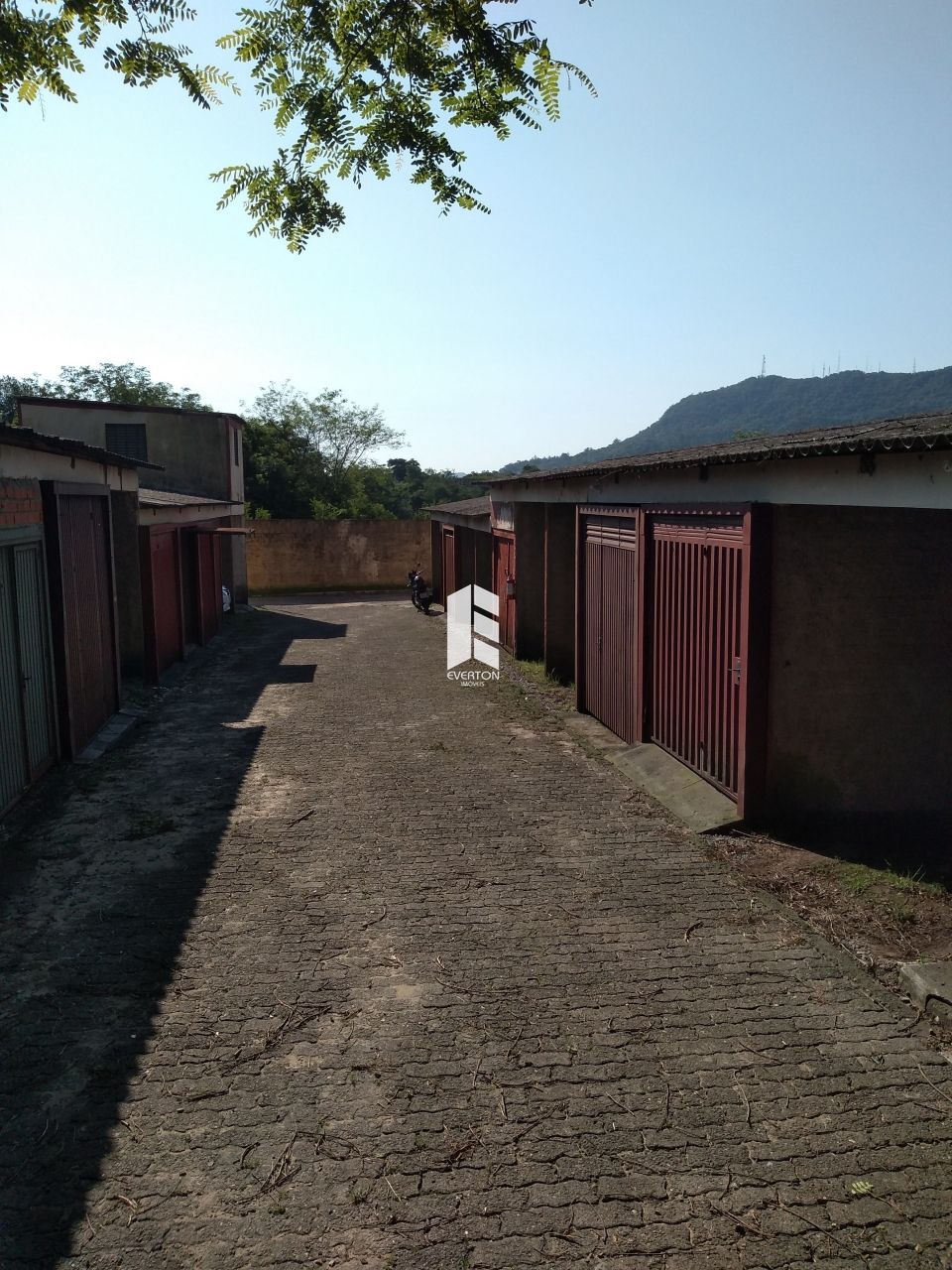 img12697376