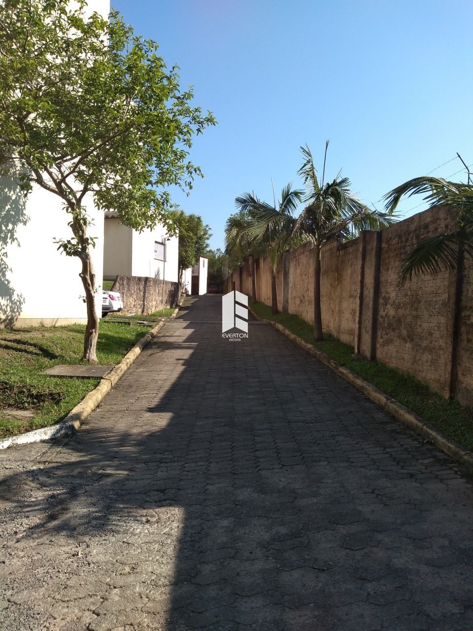img12697374