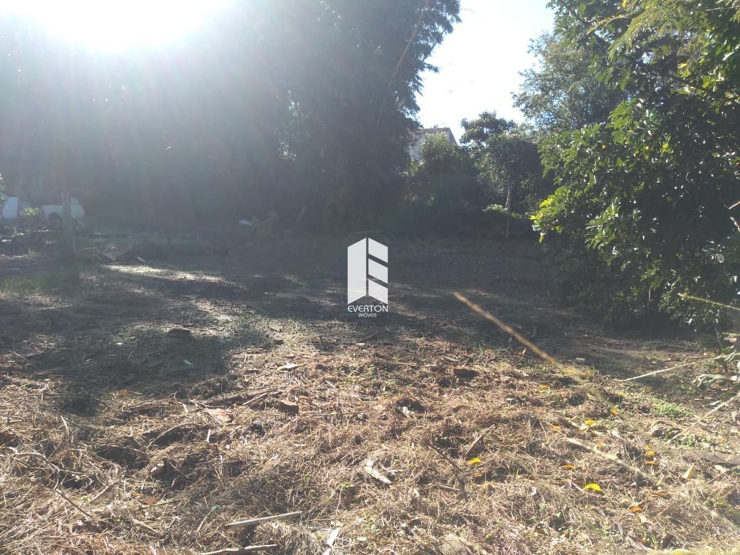 Lote/Terreno de 480m² no bairro Noal, em Santa Maria | Eu Corretor