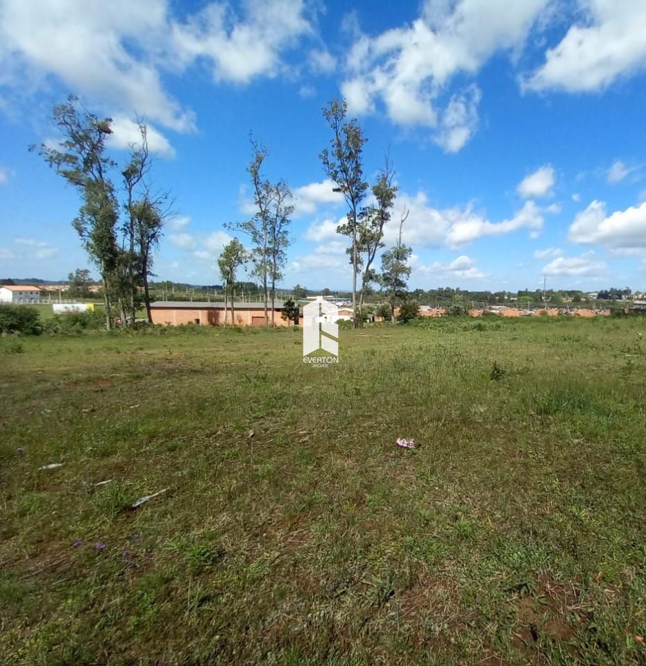 Lote/Terreno de 4800m² no bairro Tomazetti, em Santa Maria | Eu Corretor