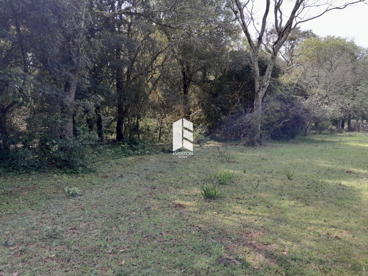 img32756463