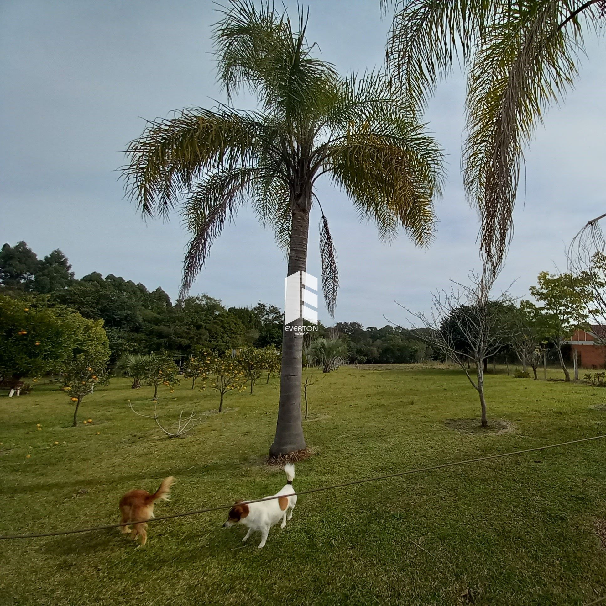 Lote/Terreno de 1530m² no bairro Centro, em Itaara | Eu Corretor