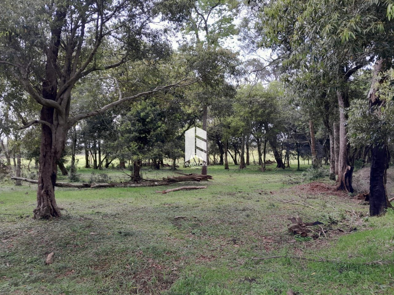 img32756464