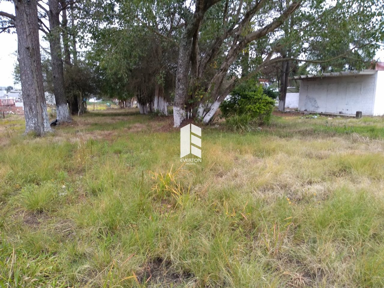 Lote/Terreno de 4000m² no bairro Pinheiro Machado, em Santa Maria | Eu Corretor