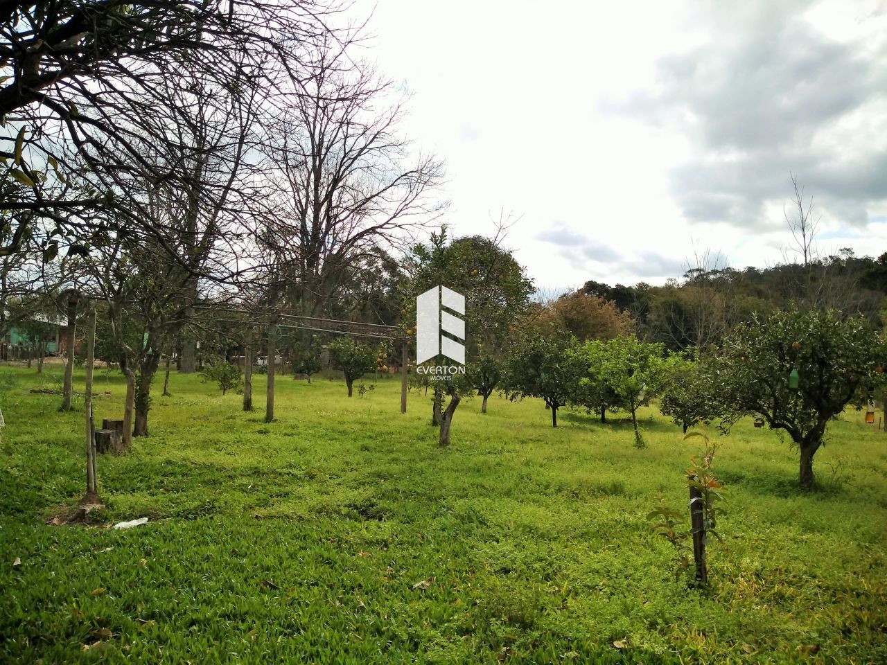 img5394515