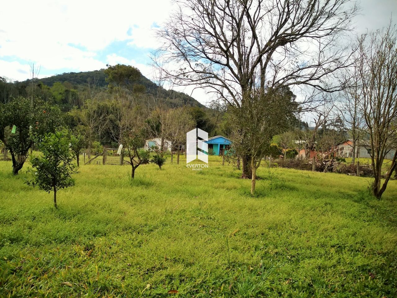 img5394517