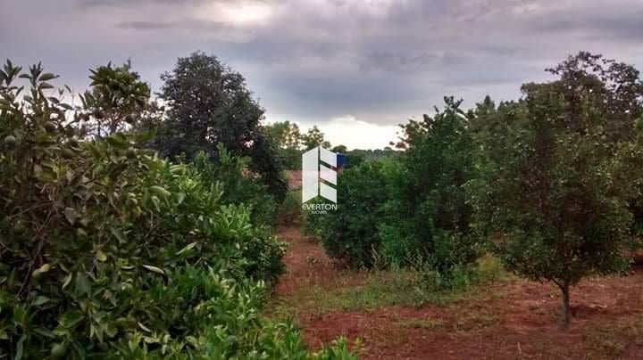 Chácara 4 dormitórios à venda Zona Rural Mata/RS