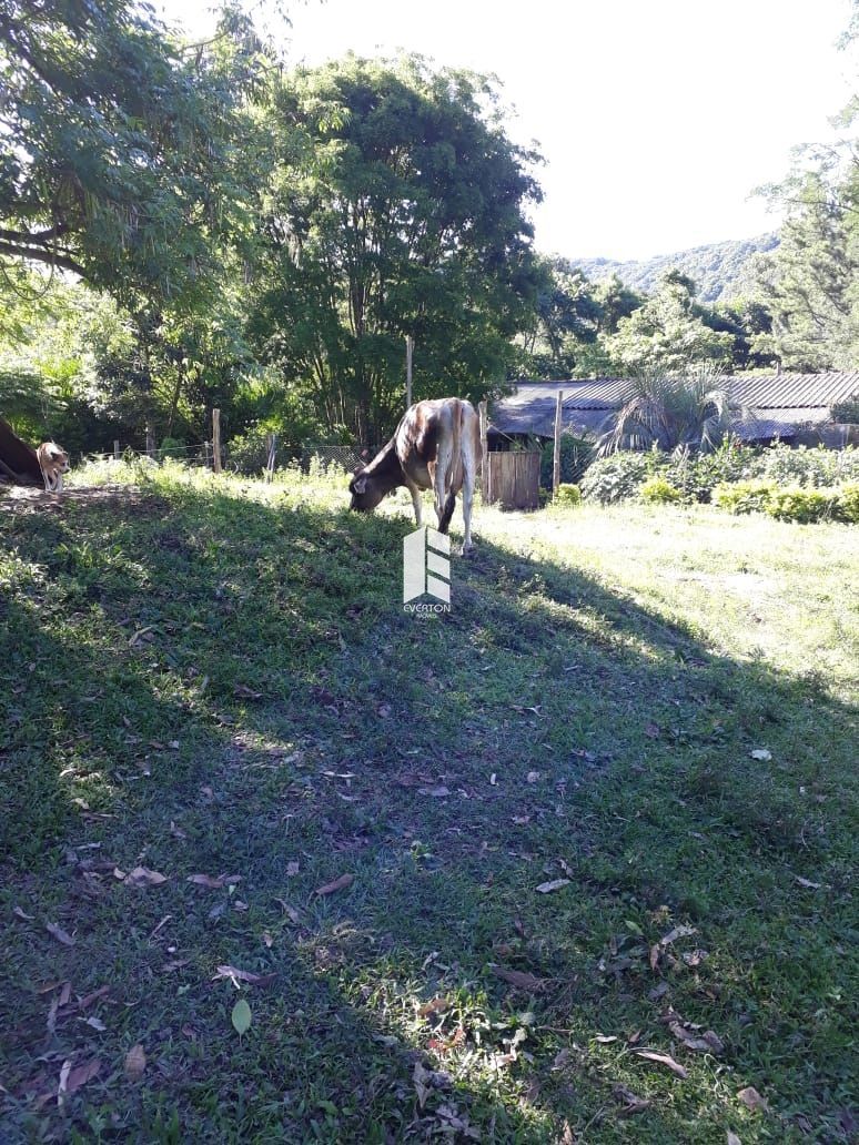 Chácara de 2 quartos, 30000m² no bairro Novo Pinhal, em Itaara | Eu Corretor