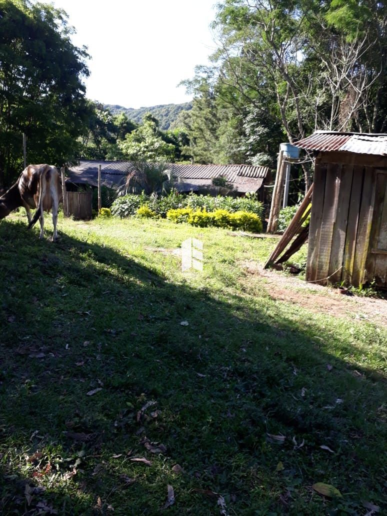 Chácara de 2 quartos, 30000m² no bairro Novo Pinhal, em Itaara | Eu Corretor