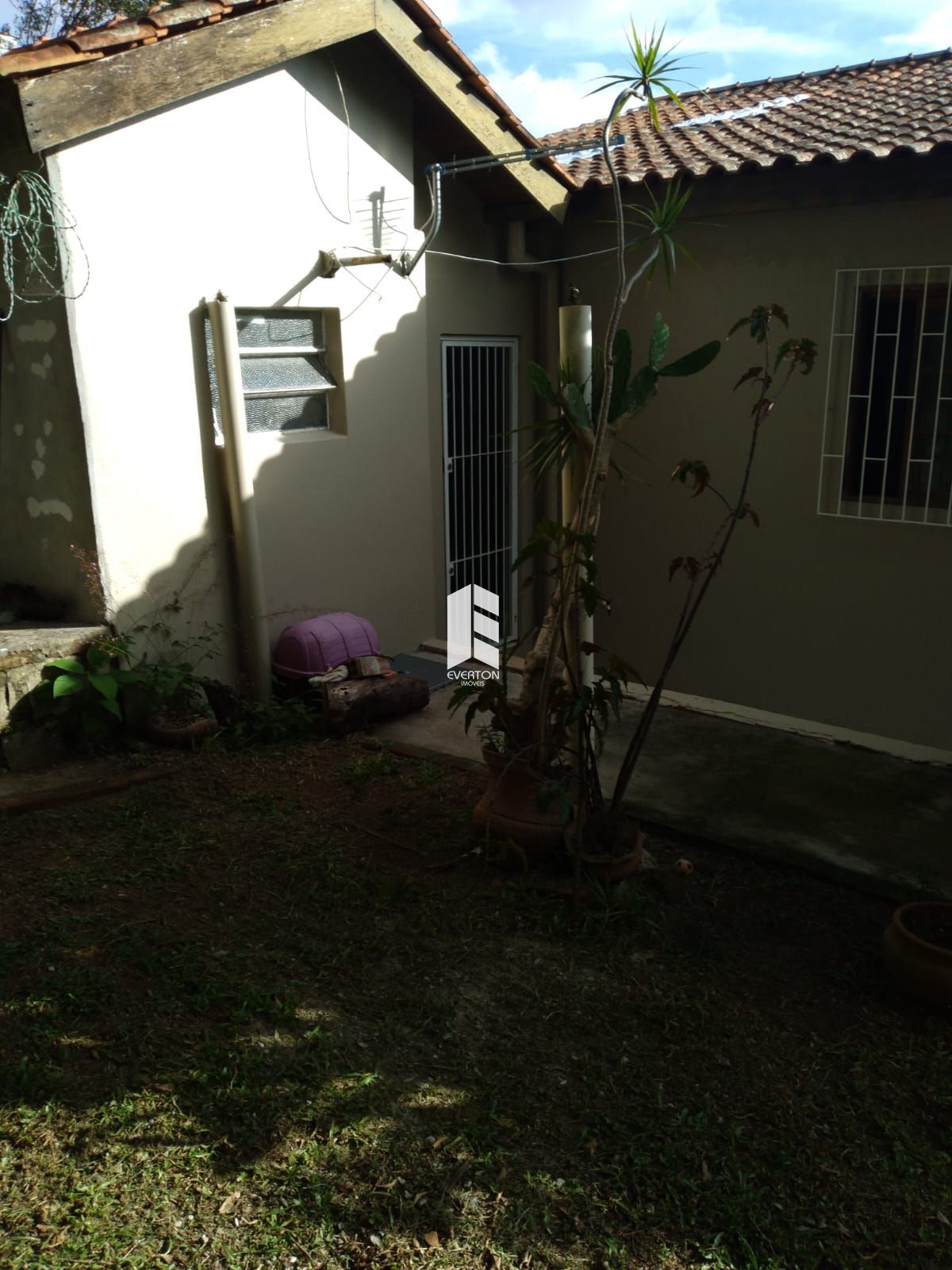 img28049286