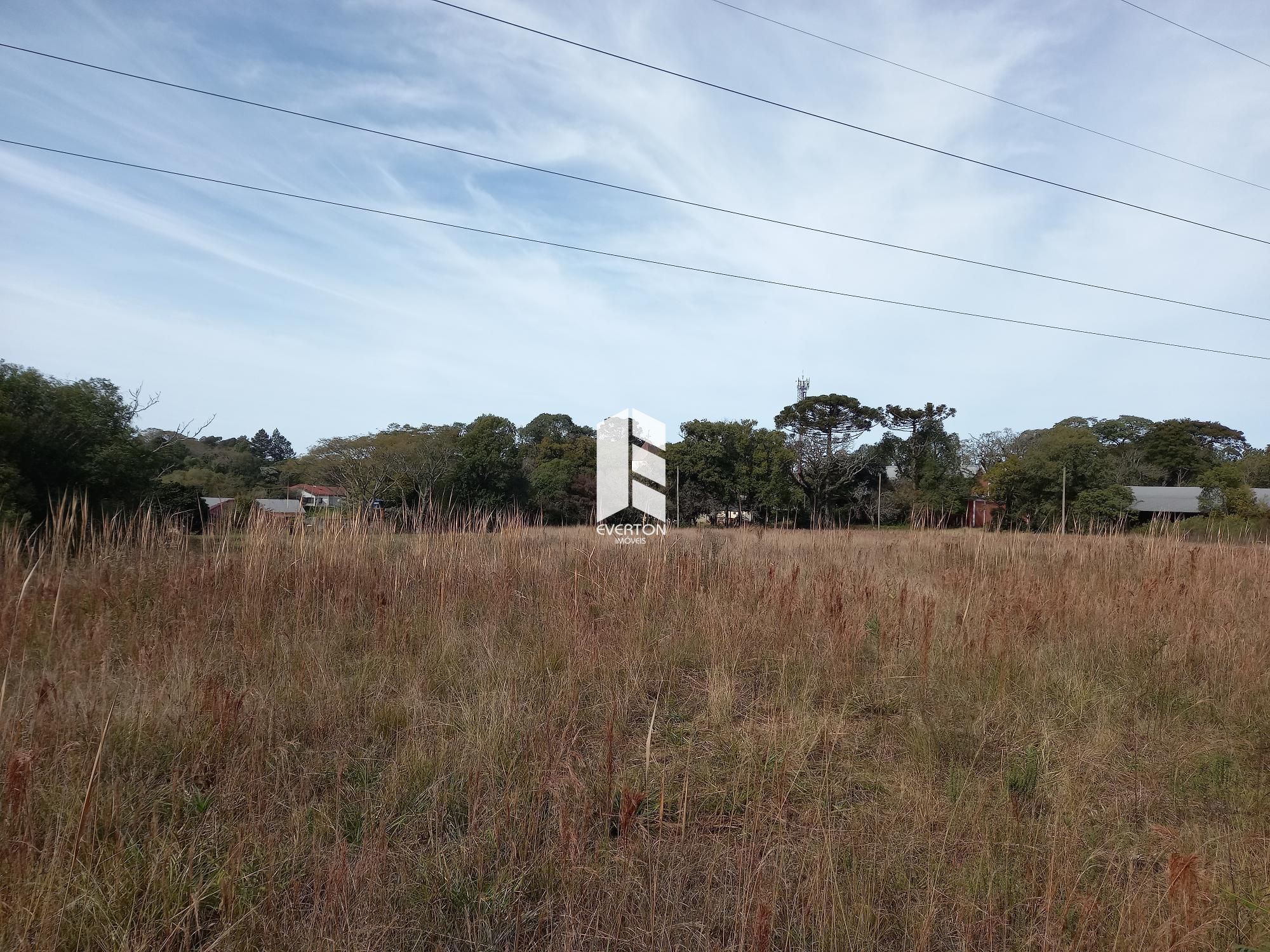 Lote/Terreno Comercial de 10000m² no bairro Centro, em Itaara | Eu Corretor