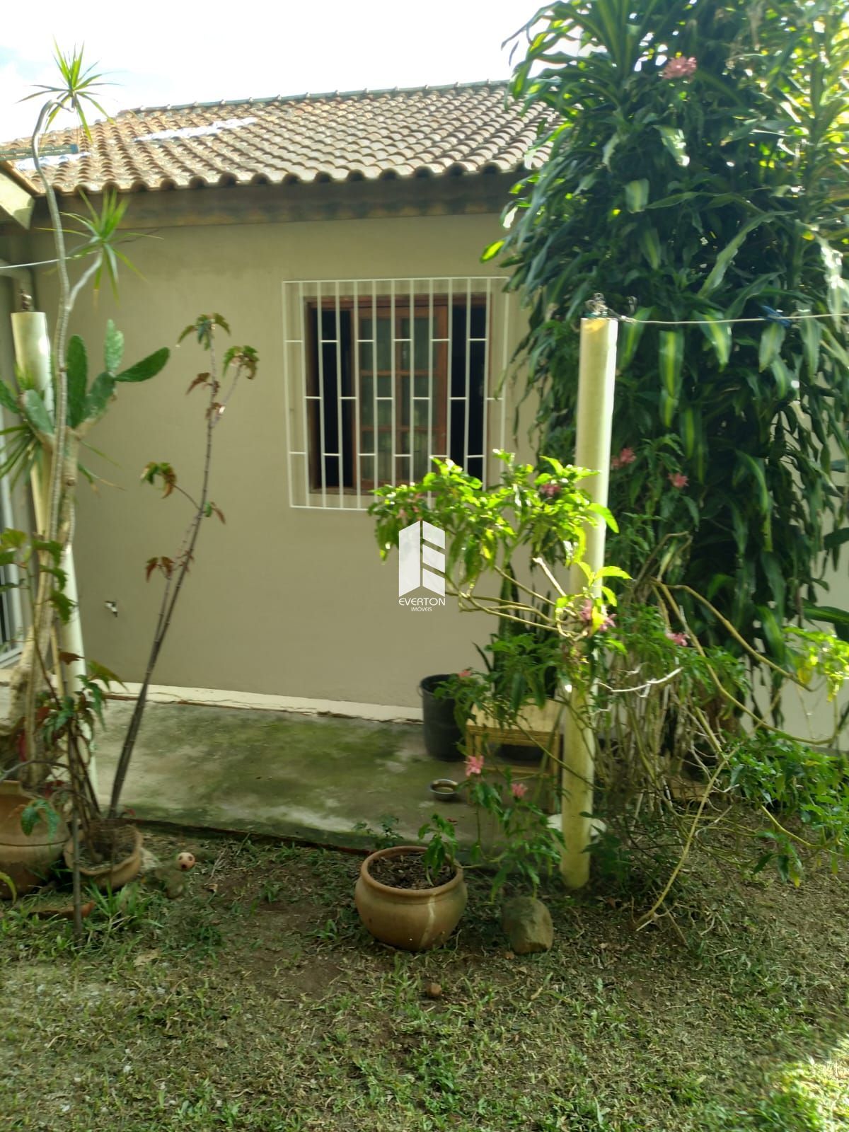 img28049289