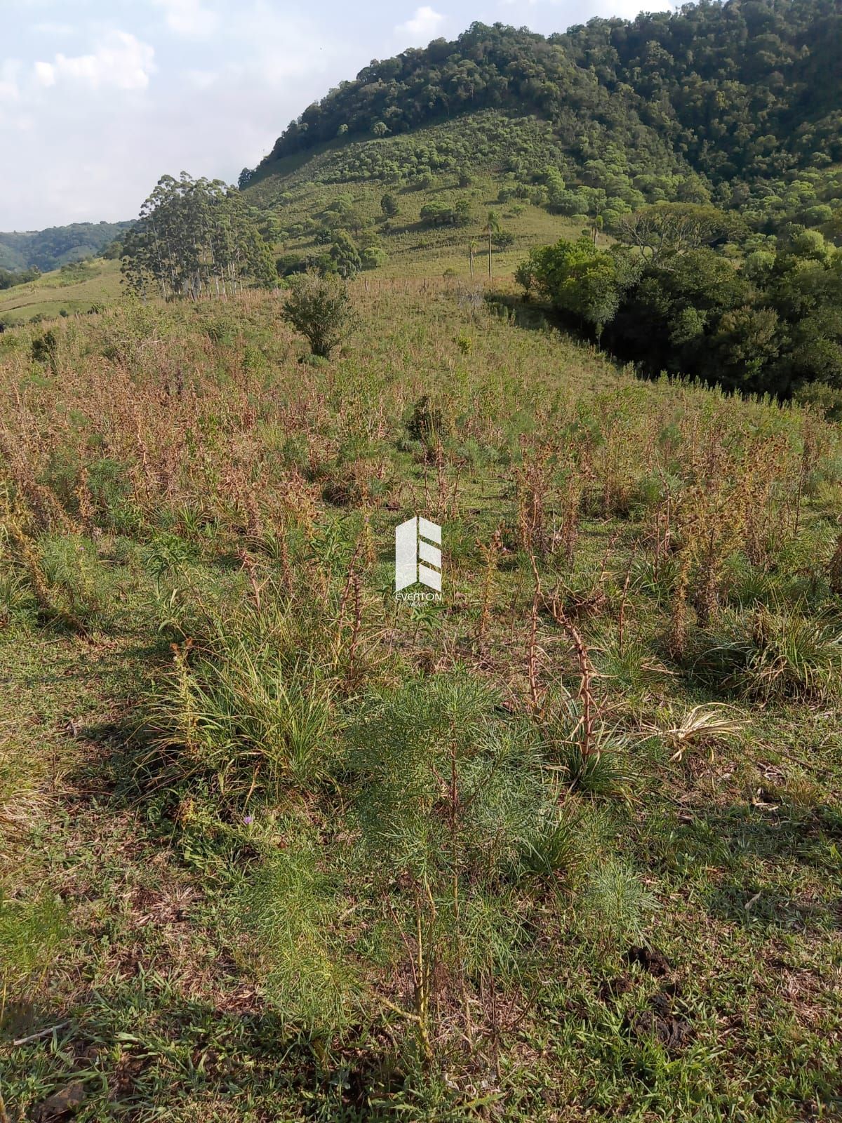 Lote/Terreno Comercial de 220000m² no bairro Boca do Monte, em Santa Maria | Eu Corretor