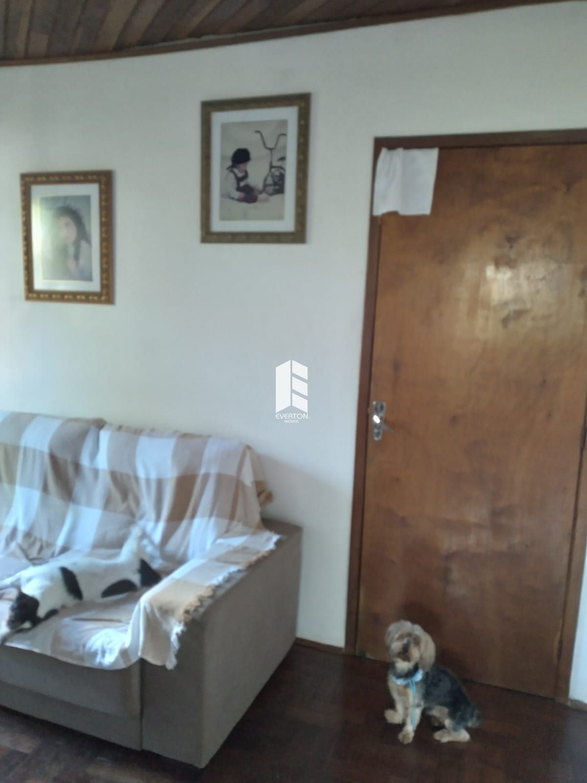 img28049274