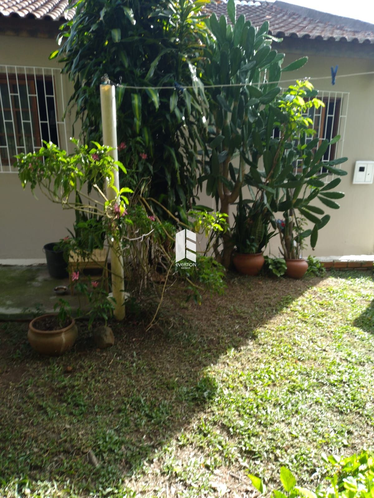 img28049295