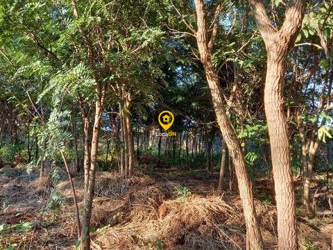 Terreno para alugar na zona sul de ribeirão preto. - foto 12