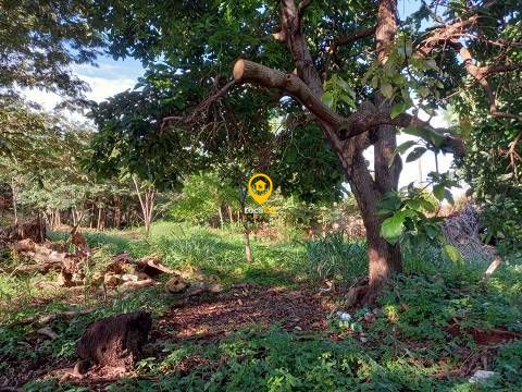 Terreno para alugar na zona sul de ribeirão preto. - foto 14