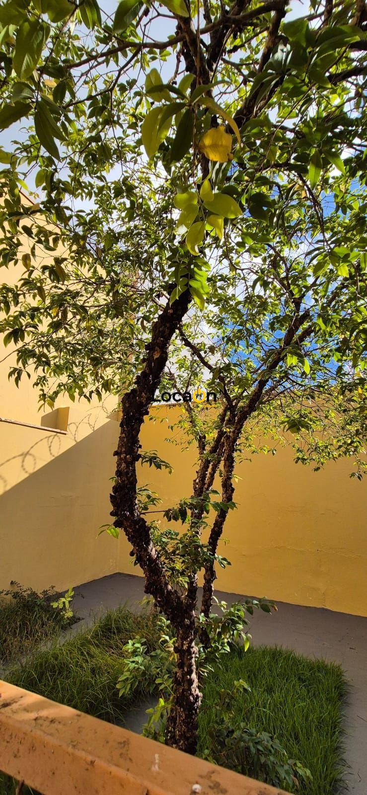 Casa, 3 quartos, 420 m² - Foto 38