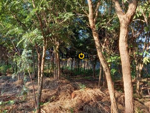 Terreno para alugar na zona sul de Ribeirão Preto.
