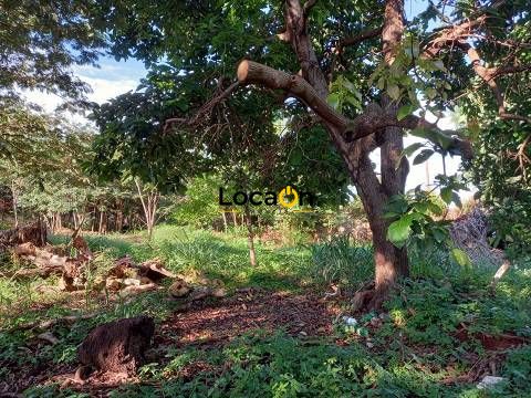 Terreno para alugar na zona sul de Ribeirão Preto.