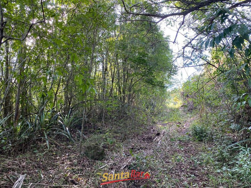 Chácara, 45 hectares - Foto 24