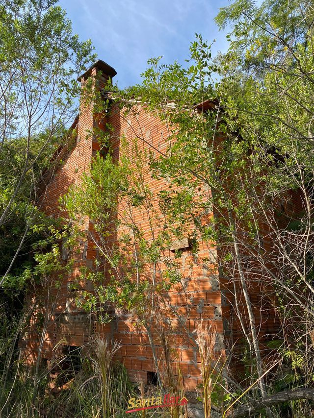 Chácara, 45 hectares - Foto 10