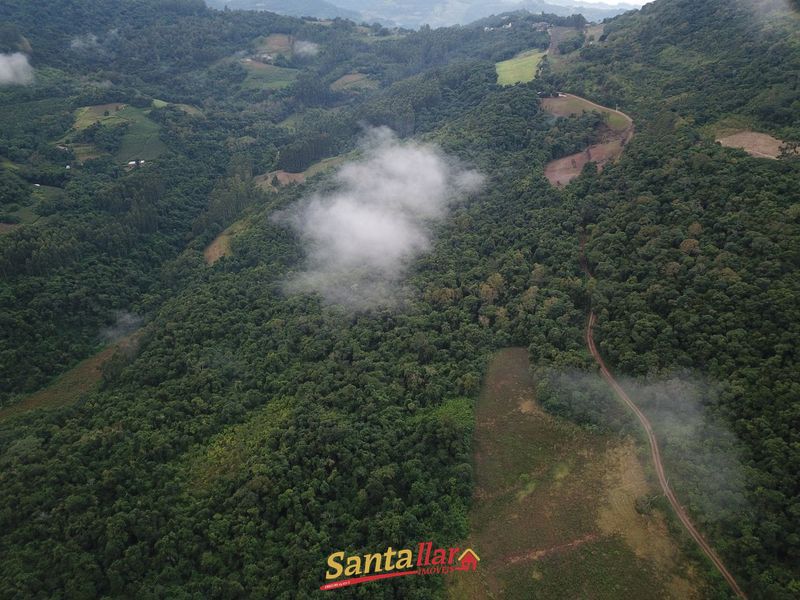 Chácara, 45 hectares - Foto 19