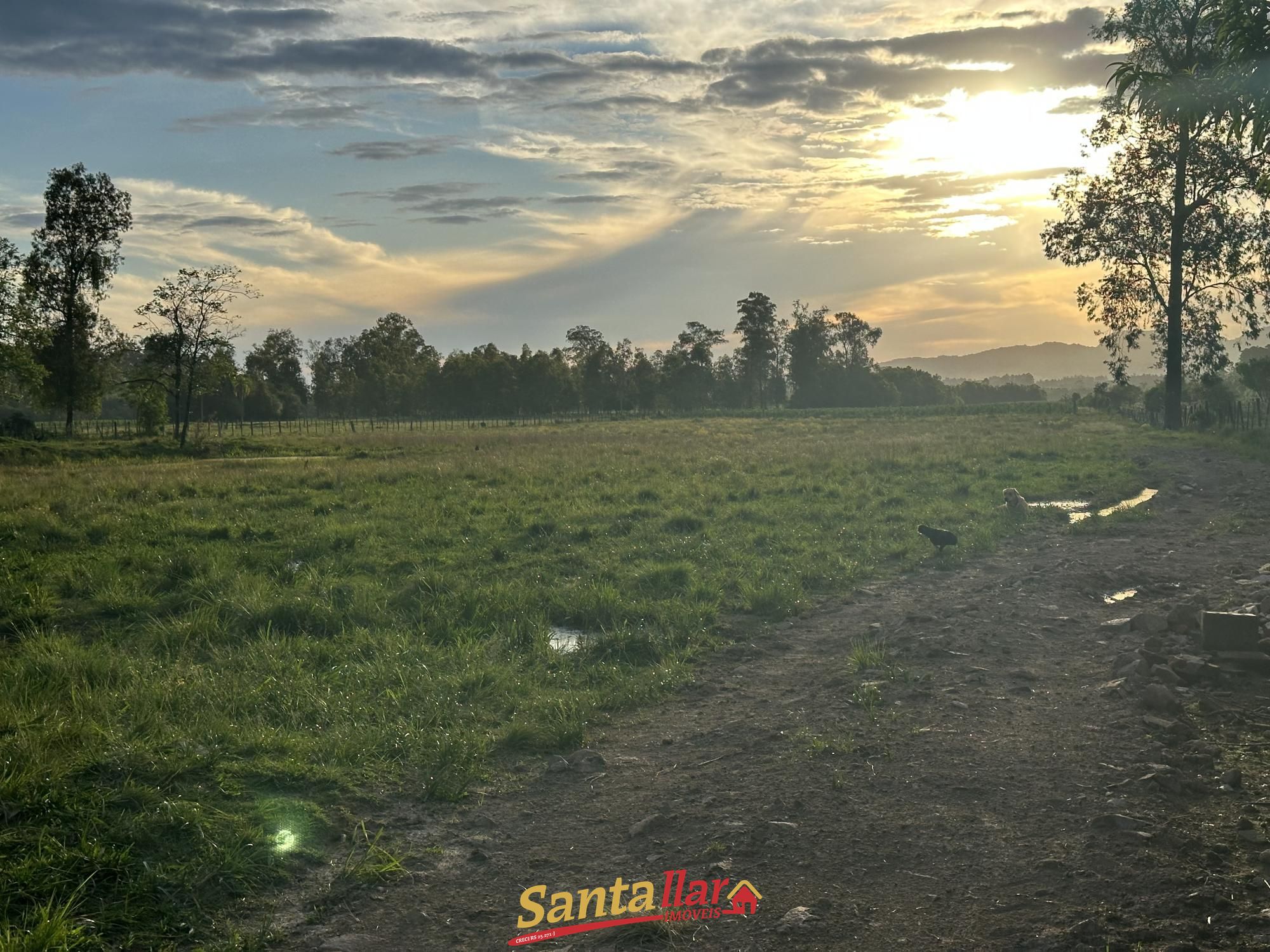 Chácara, 5 hectares - Foto 6