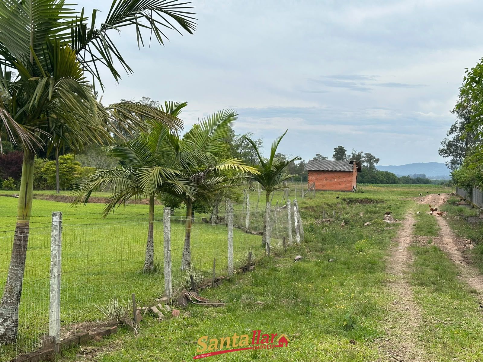 Chácara, 5 hectares - Foto 2