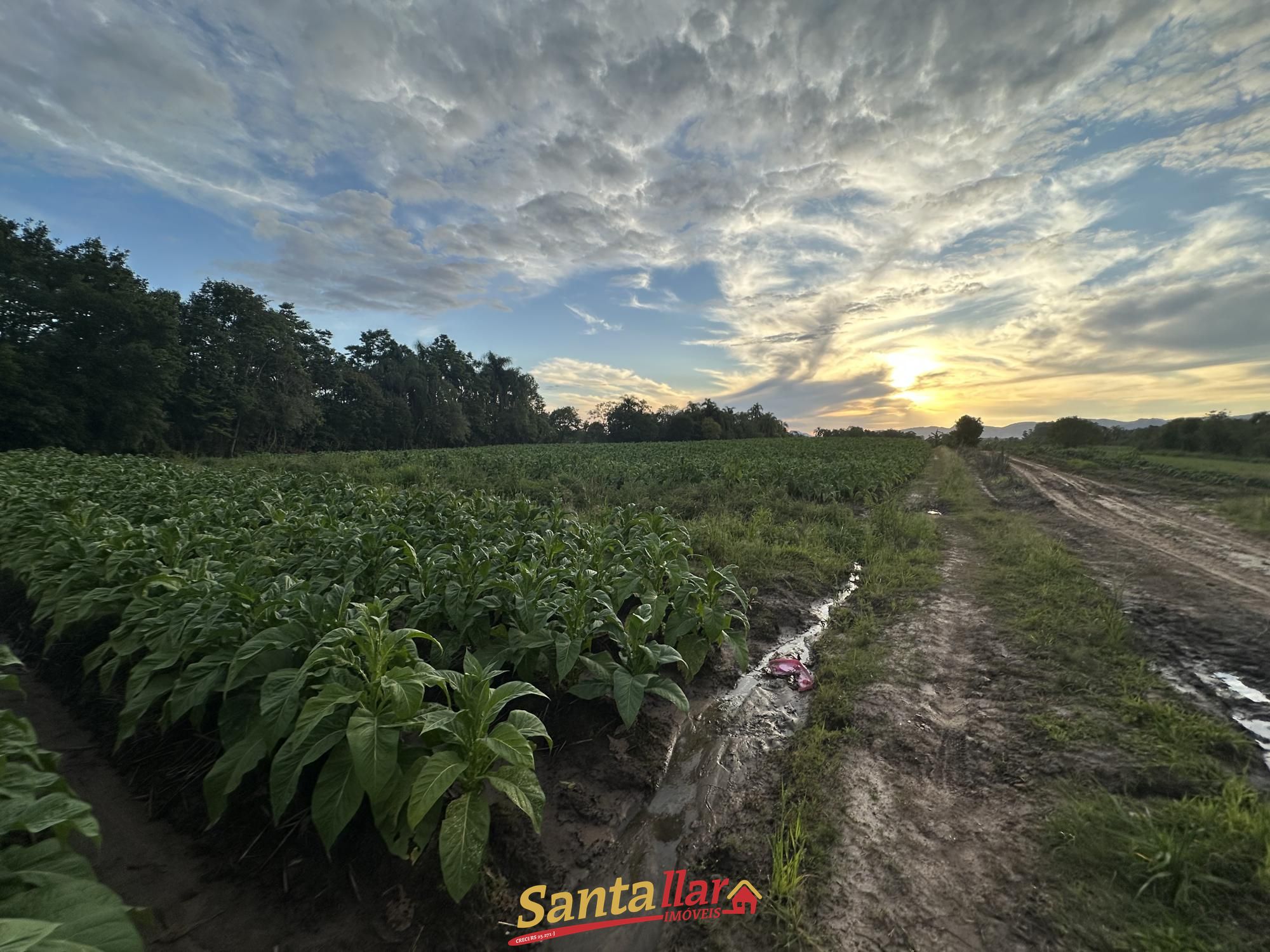 Chácara, 5 hectares - Foto 12