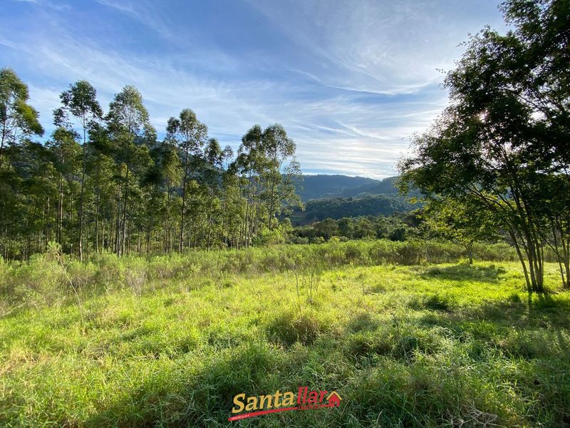 Chácara, 45 hectares - Foto 18