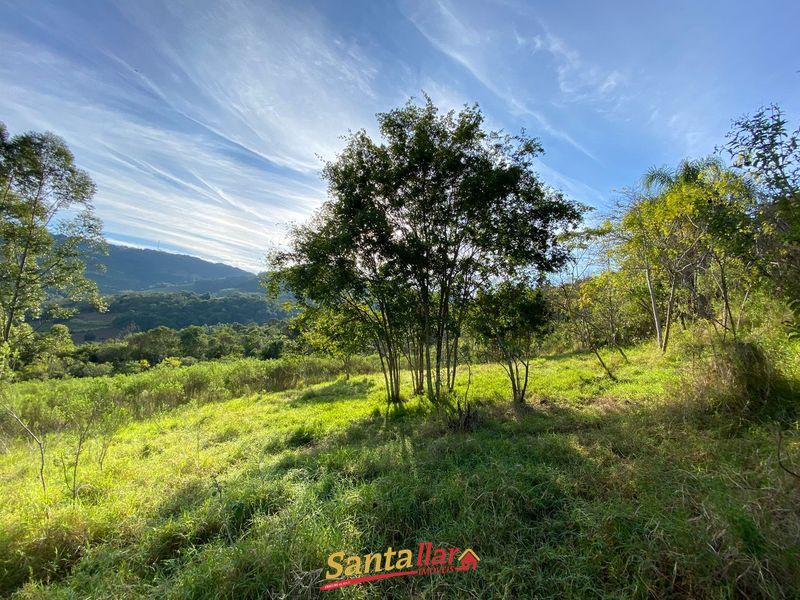 Chácara, 45 hectares - Foto 21