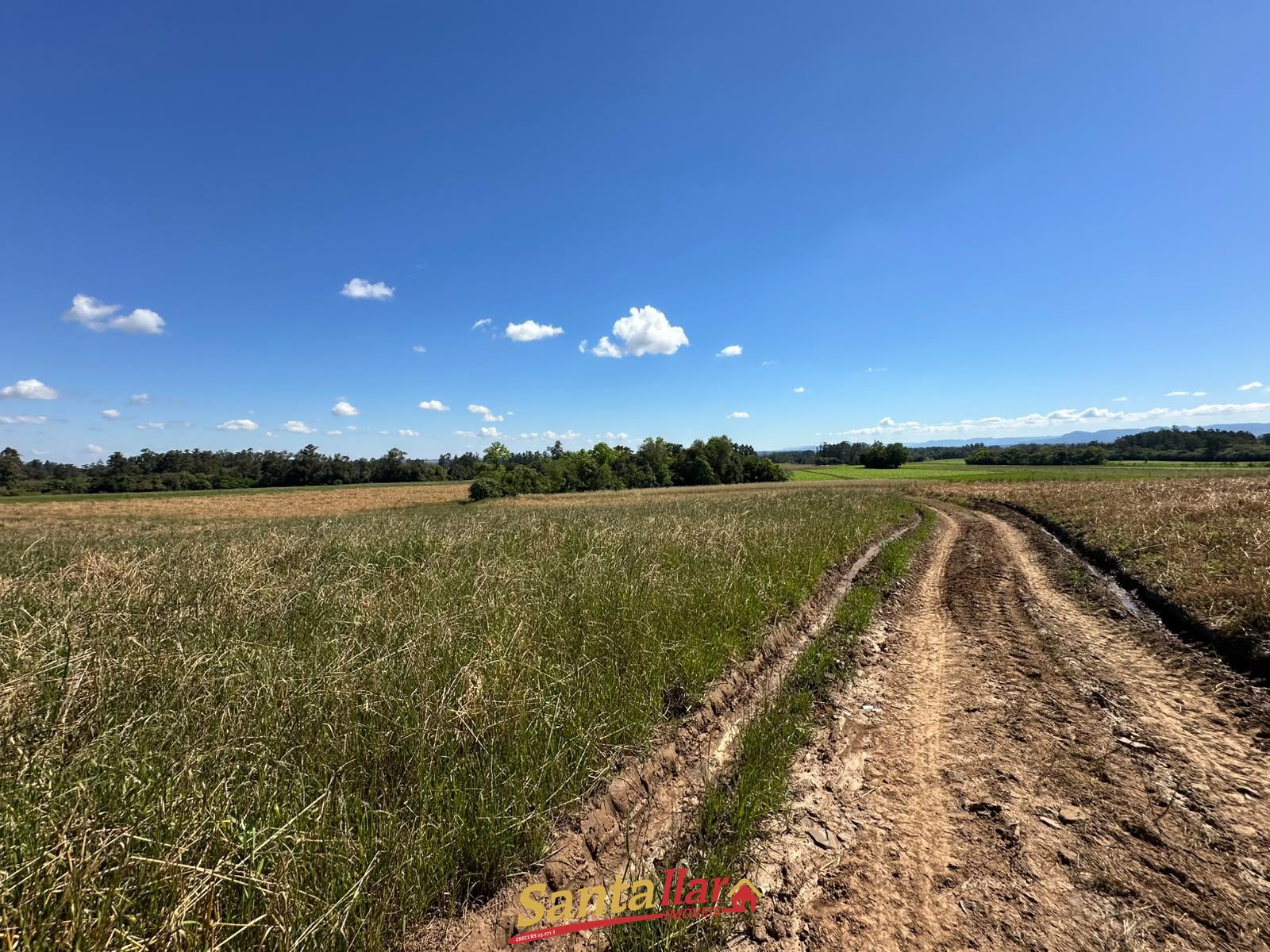Sítio, 10 hectares - Foto 10