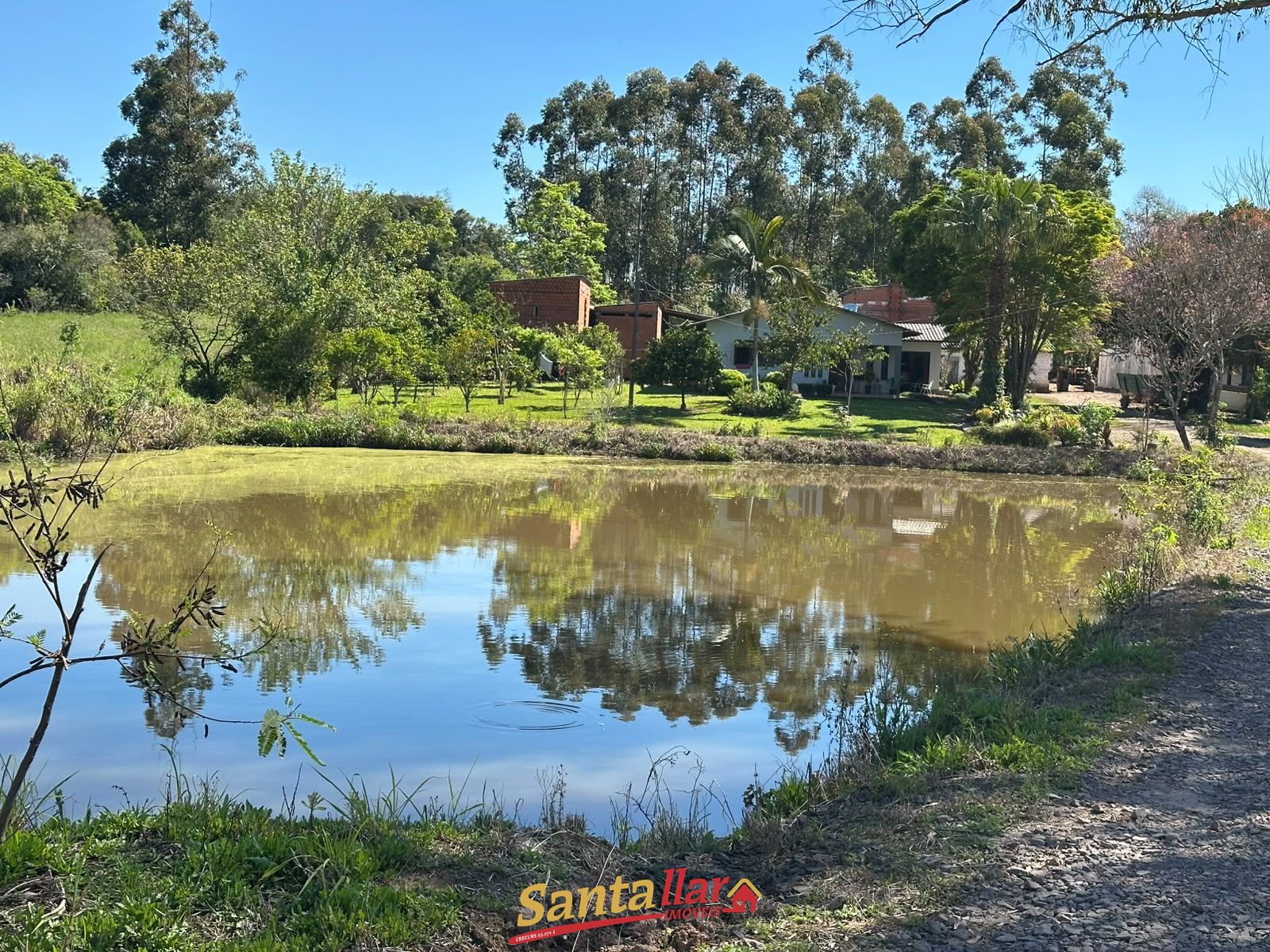 Sítio, 10 hectares - Foto 19