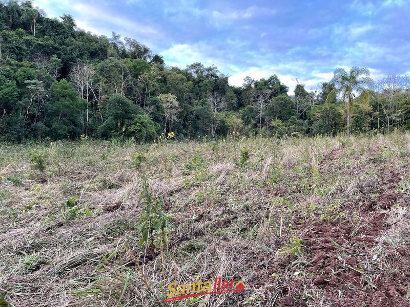 Chácara, 45 hectares - Foto 3