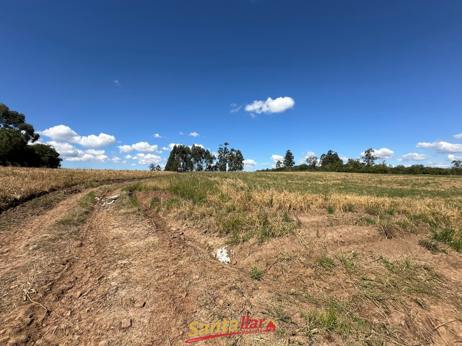 Sítio, 10 hectares - Foto 11